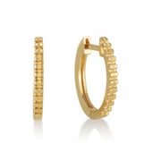 עגיל לשיבוץ - קנזס