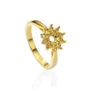 טבעת לשיבוץ ברן