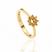 טבעת לשיבוץ ריגה