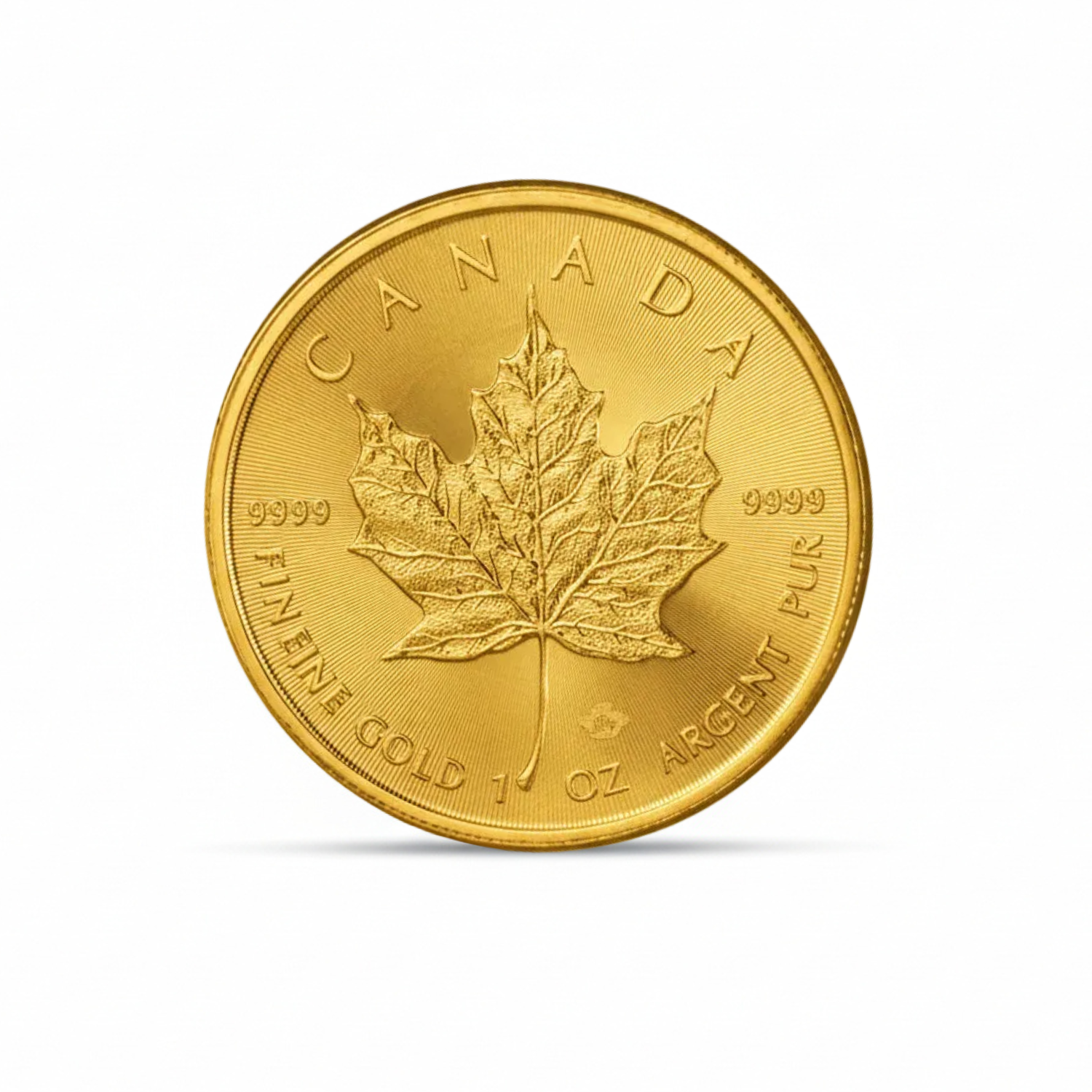 מטילים ומטבעות