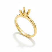 טבעת לשיבוץ רומא